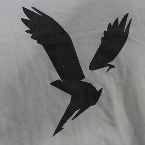 AMERICAN EAGLE - Super Soft - Standard Fit | small | Graphic Cotton Tee